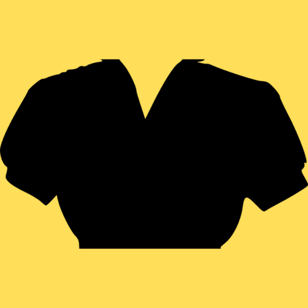Blouse-Plain Dry Cleaning